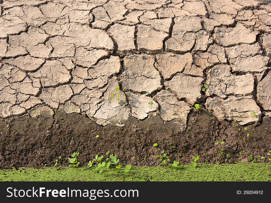 Cracked clay ground into the dry season. Cracked clay ground into the dry season