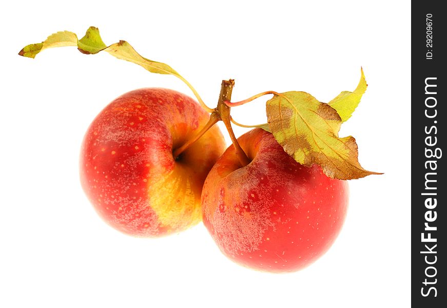 Two red apples with leaves