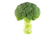 Broccoli Royalty Free Stock Photos Broccoli Royalty Free Stock Photos