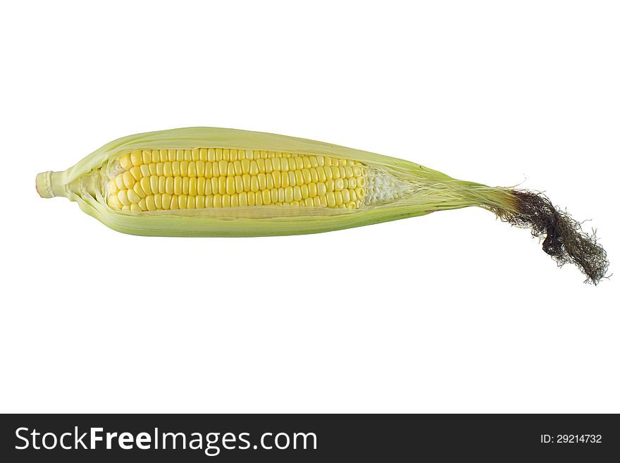 Corn isolated on white background