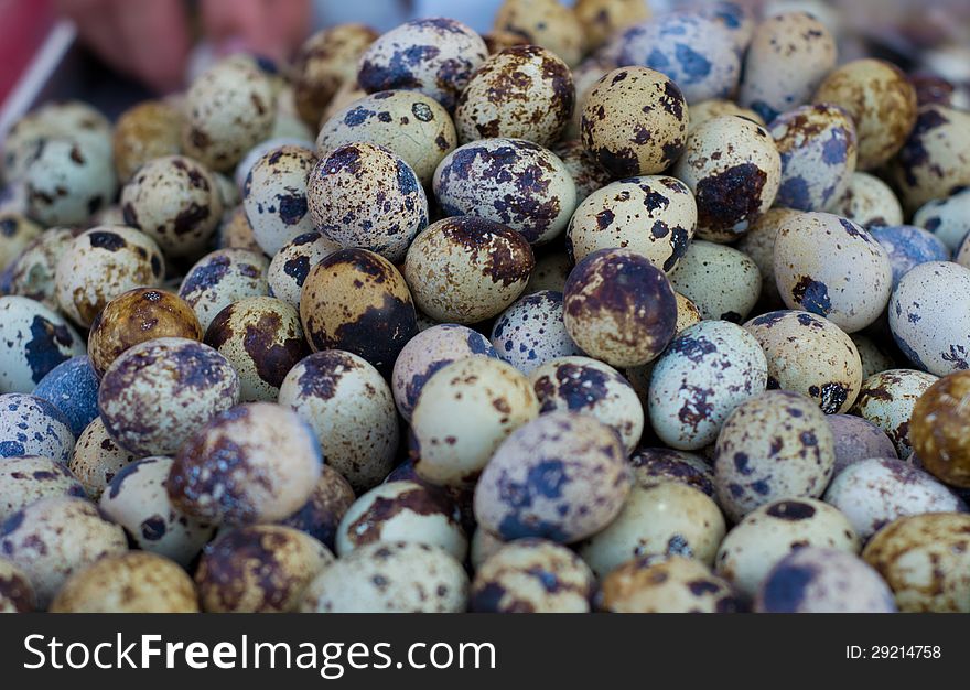 Close up boiled quail eggs.