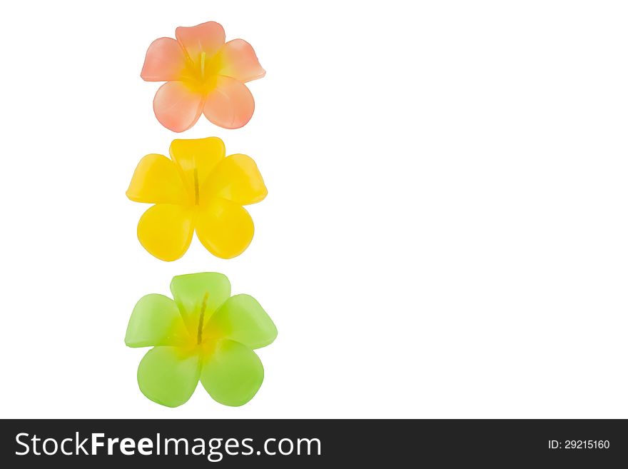 Candle flower isolated on white background