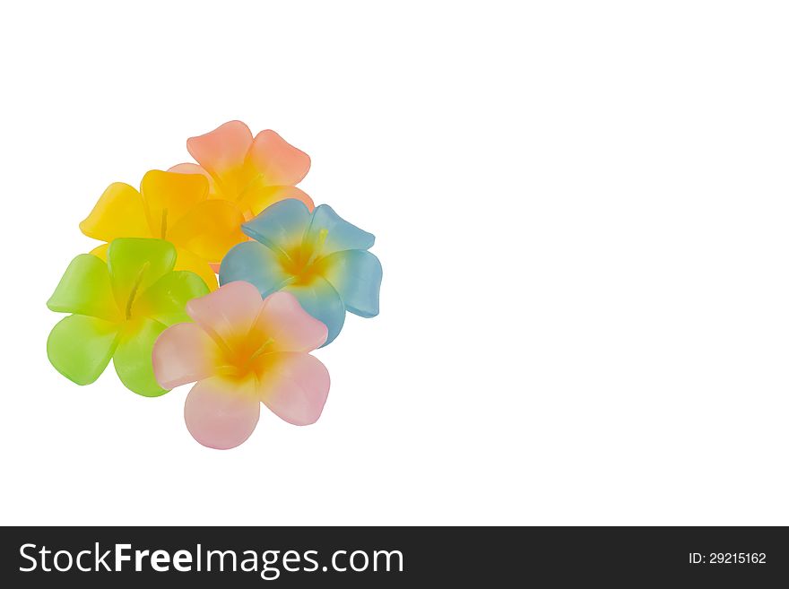 Candle flower isolated on white background