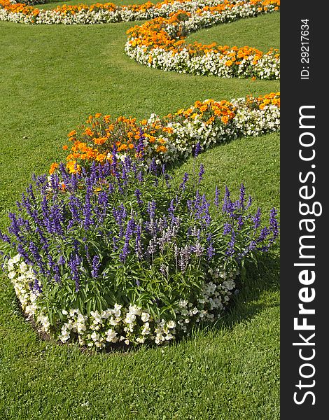 Blossoming colorful flowerbeds in summer city park