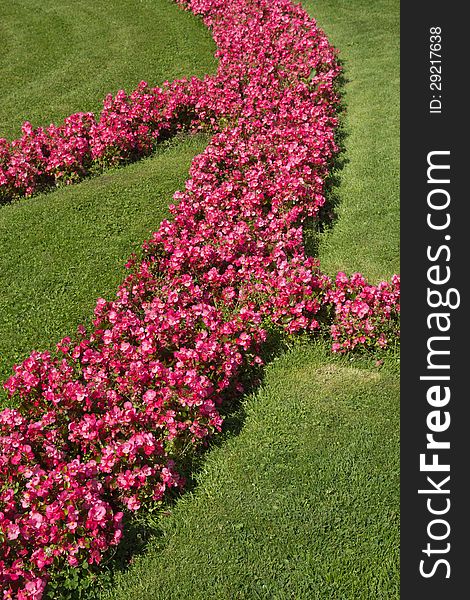 Red Colorful Flowerbeds In Summer