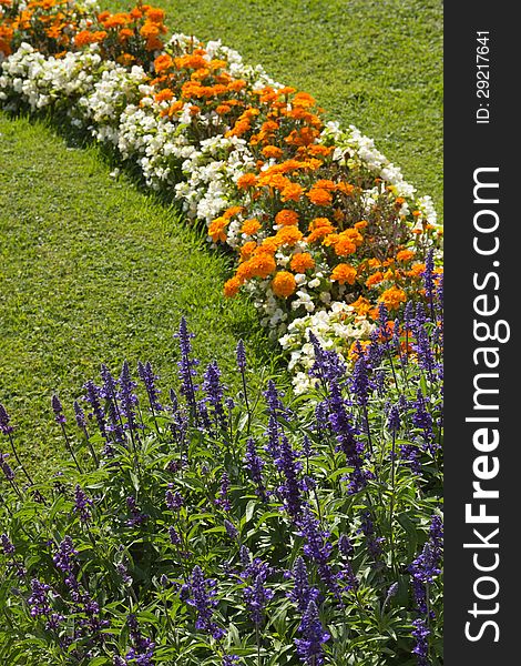 Blossoming colorful flowerbeds in summer city park