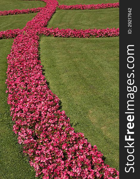 Red colorful flowerbeds in summer city park