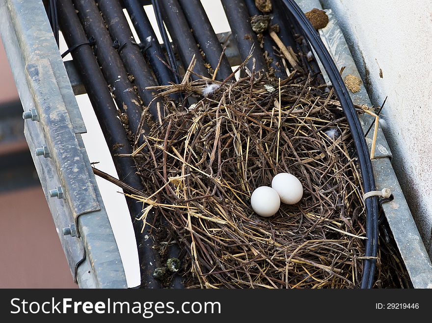 Bird net and egg on cable