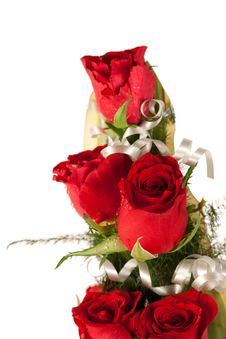 Red Rose Flowers With Water Drops Stock Photography Red Rose Flowers With Water Drops Stock Photography