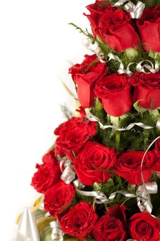 Red Rose Flowers With Water Drops Royalty Free Stock Photos Red Rose Flowers With Water Drops Royalty Free Stock Photos