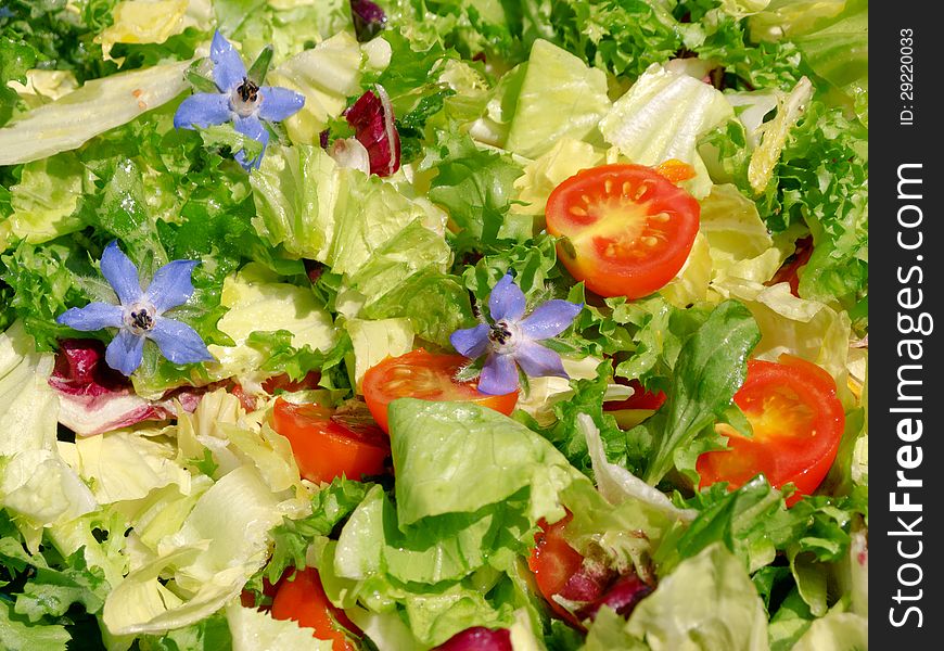 A colorful salad with tomatos. A colorful salad with tomatos.