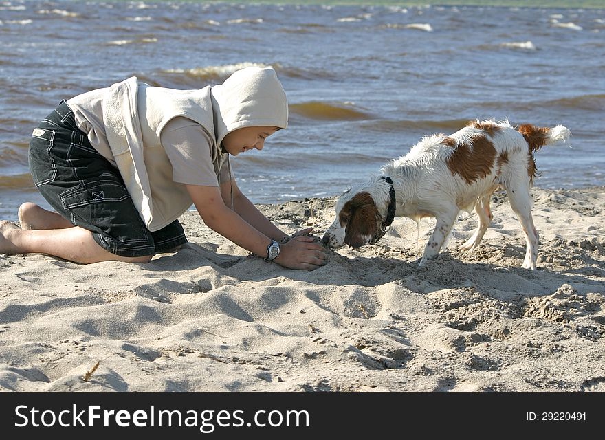A boy plays with a dog on the seashore in a sunny windy day
