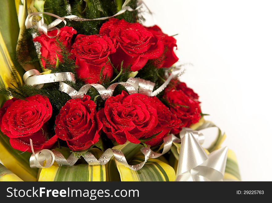 Red rose flowers  with water drops