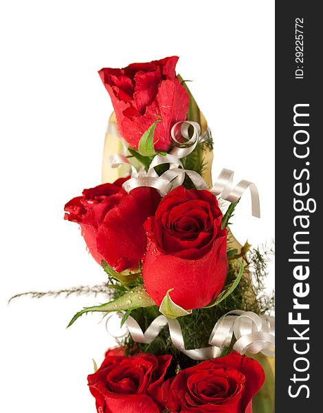 Beautiful red rose flowers with water drops. Beautiful red rose flowers with water drops