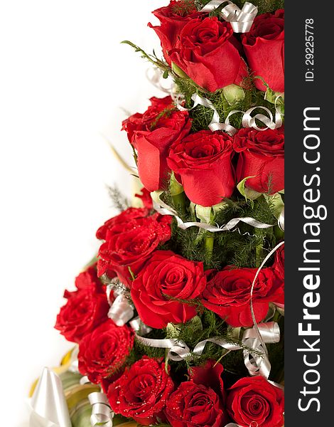 Beautiful red rose flowers with water drops. Beautiful red rose flowers with water drops