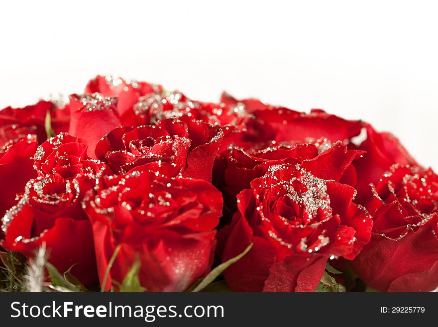 Red rose flowers  with sparkle particles