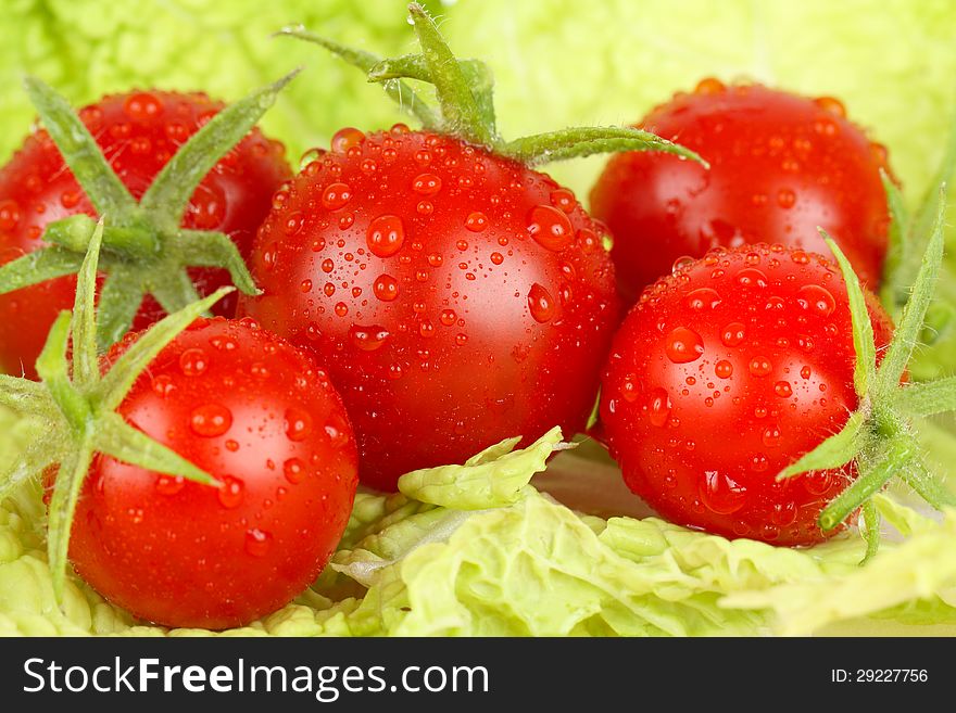 Fresh and wet tomatoes lying on the salad leaves