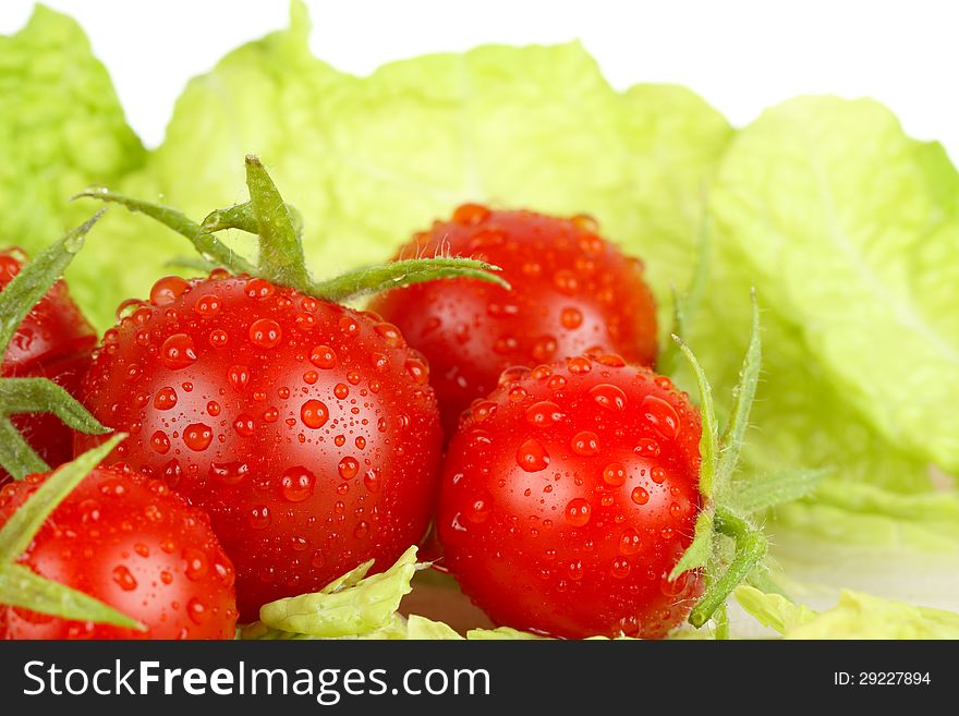 Fresh and wet tomatoes lying on the salad leaves