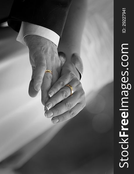 Wedding gold rings fit on hands`s bride and groom. Wedding gold rings fit on hands`s bride and groom