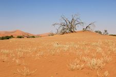 Sossusvlei Sand Dunes Landscape In The Nanib Desert Near Sesriem Royalty Free Stock Photography Sossusvlei Sand Dunes Landscape In The Nanib Desert Near Sesriem Royalty Free Stock Photography