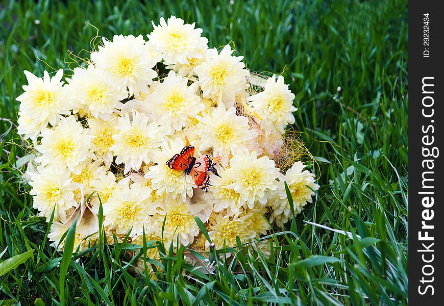 Bouquet From Yellow Asters With Butterfly