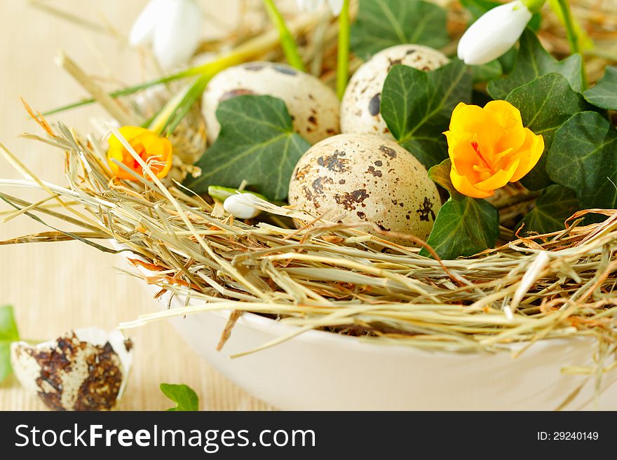 Easter nest with quail eggs and spring flowers, close up