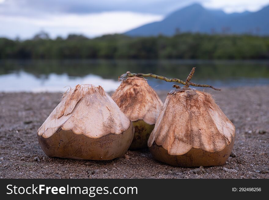 Coconuts With Beautiful Trees Reflecting On The Water And Mountains In The Background