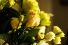 Flower Bouquet Royalty Free Stock Photos Flower Bouquet Royalty Free Stock Photos