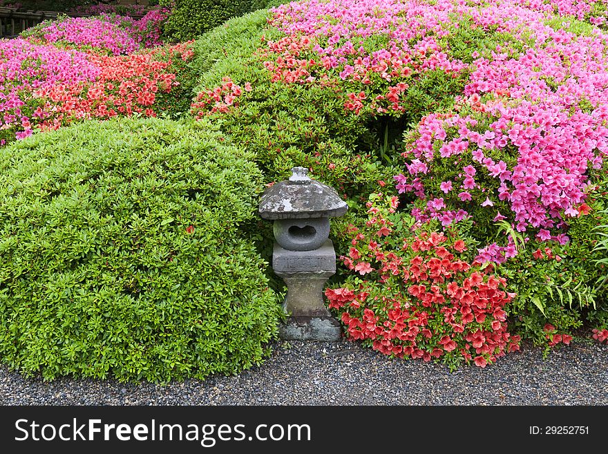 Small stone lantern between blossom azalea bushes in Japanese Zen garden