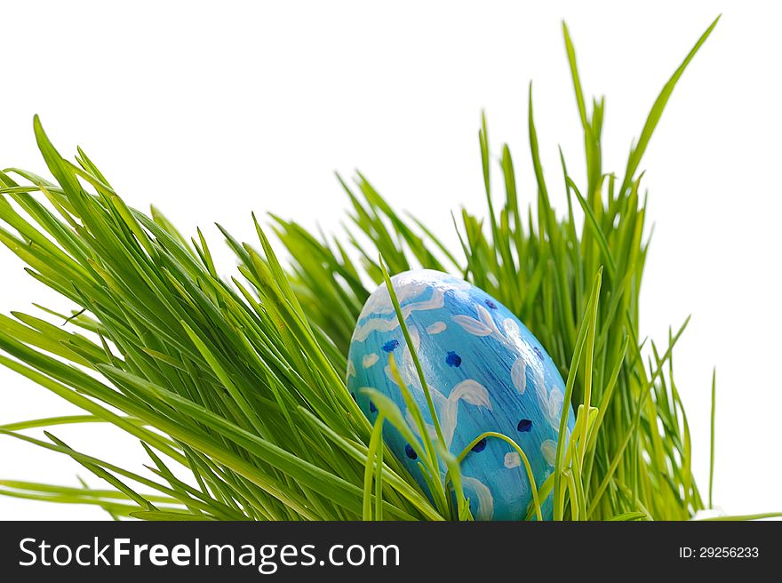 Blue easter egg   in green grass. Blue easter egg   in green grass