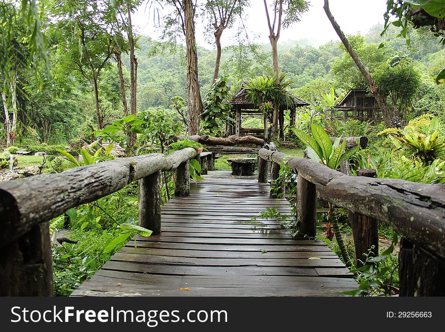 Old wooden bridge in the park, Northern Thailand