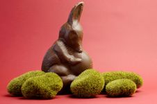 Australian Alternative To The Easter Bunny Rabbit, A Chocolate Bilby Holding An Egg Stock Photos