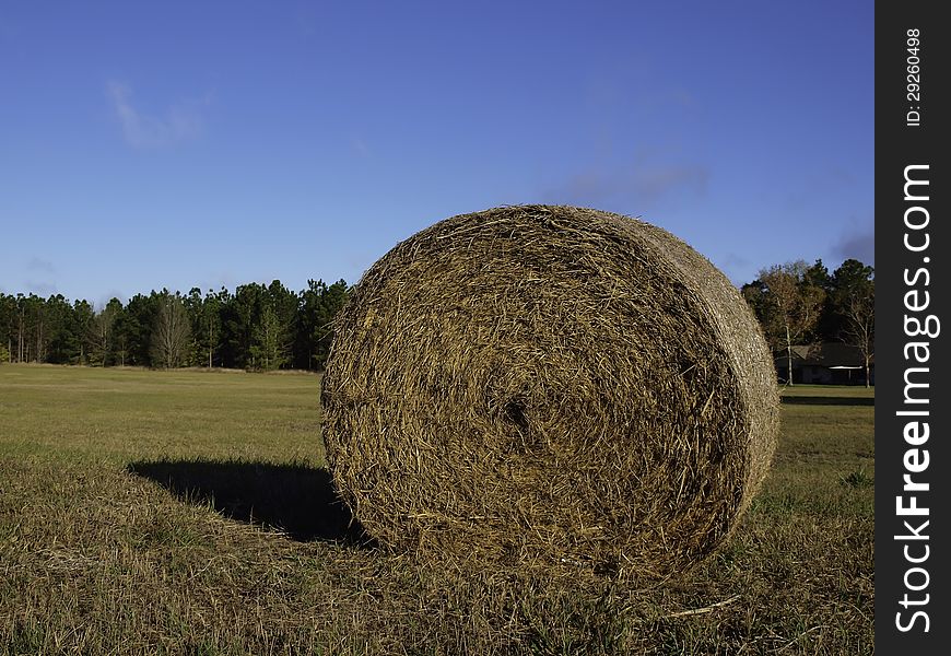 A bundle of hay on the ranch. A bundle of hay on the ranch.
