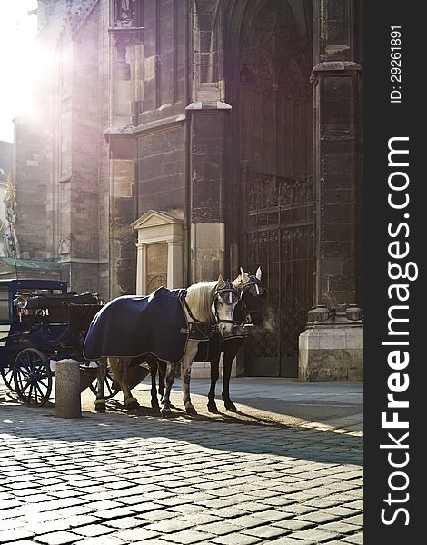 Fiakerhorses in Front of the World Famous Stephansdom Cathedral of Vienna. Fiakerhorses in Front of the World Famous Stephansdom Cathedral of Vienna.