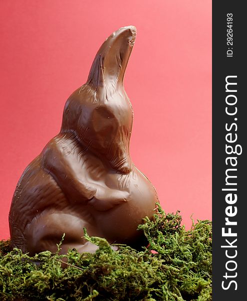 Australian Easter Bunny Rabbit Alternative, A Chocolate Bilby Holding An Egg - Vertical