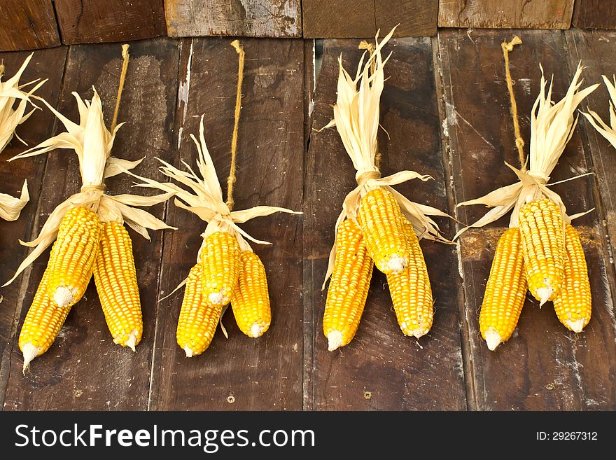 The harvest corns in the farm warehouse