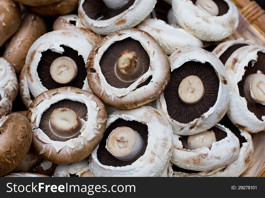 Mushrooms in the basket, close-up. Mushrooms in the basket, close-up