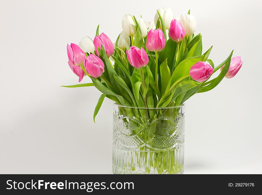 Pink an white tulips in a beautiful crystal vase. Pink an white tulips in a beautiful crystal vase.