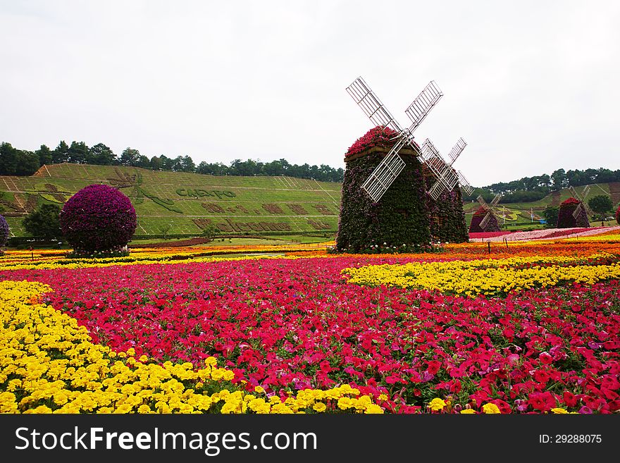A large garden and many flower windmills in there