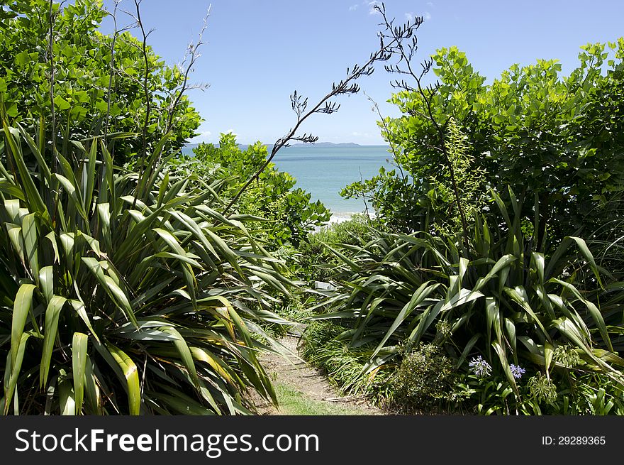 Entrance to the wild Coopers beach in Doubtless Bay, Northland New Zealand. Entrance to the wild Coopers beach in Doubtless Bay, Northland New Zealand.