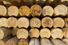 Wooden Cuts Royalty Free Stock Photos