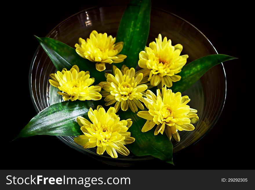 Yellow flower arrangement. Pretty daysies in the bowl with water. Spa.