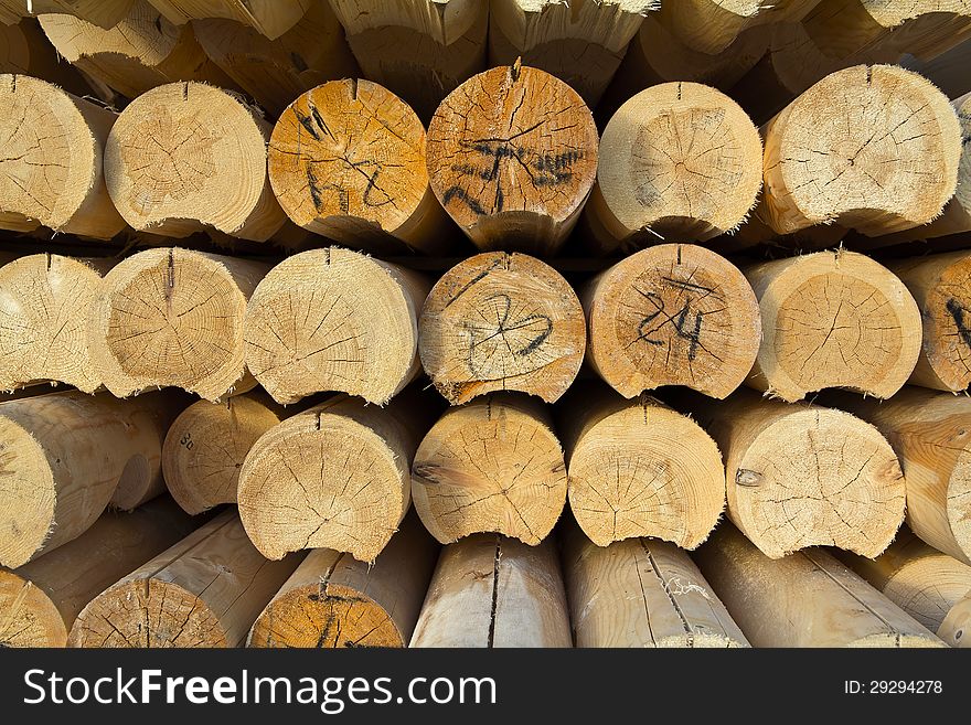 Clean wooden logs in rows outdoors. Clean wooden logs in rows outdoors