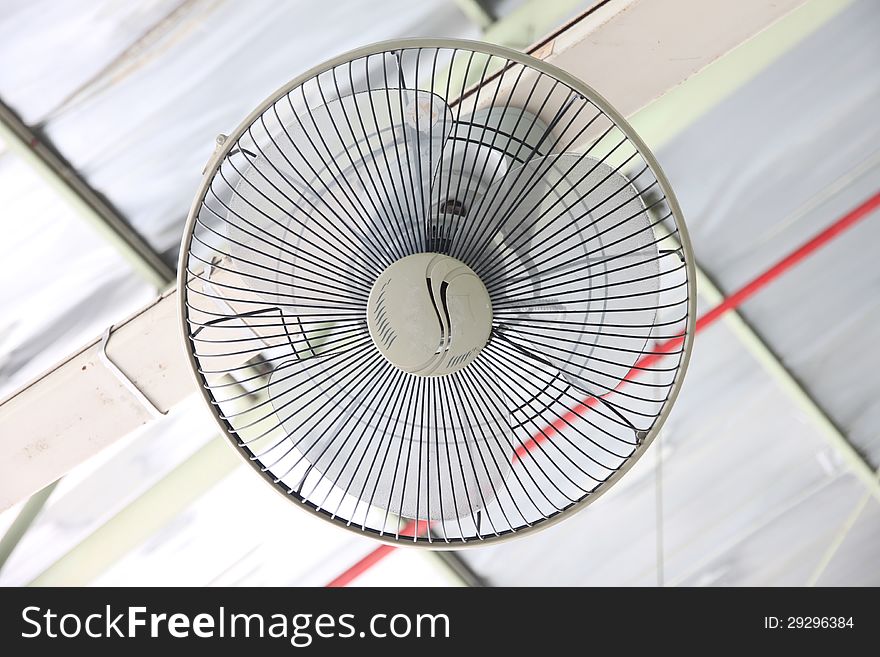 The white a Ceiling fans Spherical. The white a Ceiling fans Spherical.