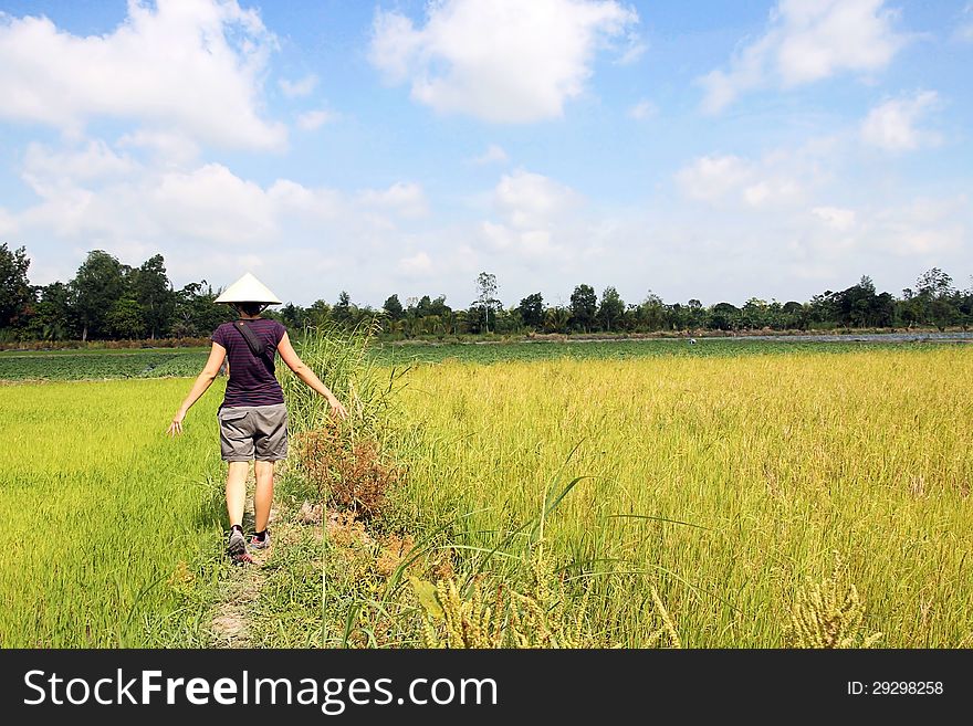 Woman walk in the country field.