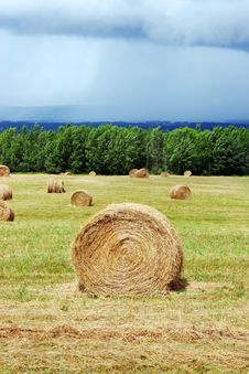Hay Bales Stock Photos Hay Bales Stock Photos