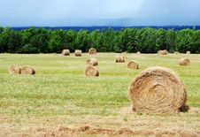 Hay Bales Stock Photography Hay Bales Stock Photography