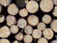 Logs Royalty Free Stock Photo Logs Royalty Free Stock Photo