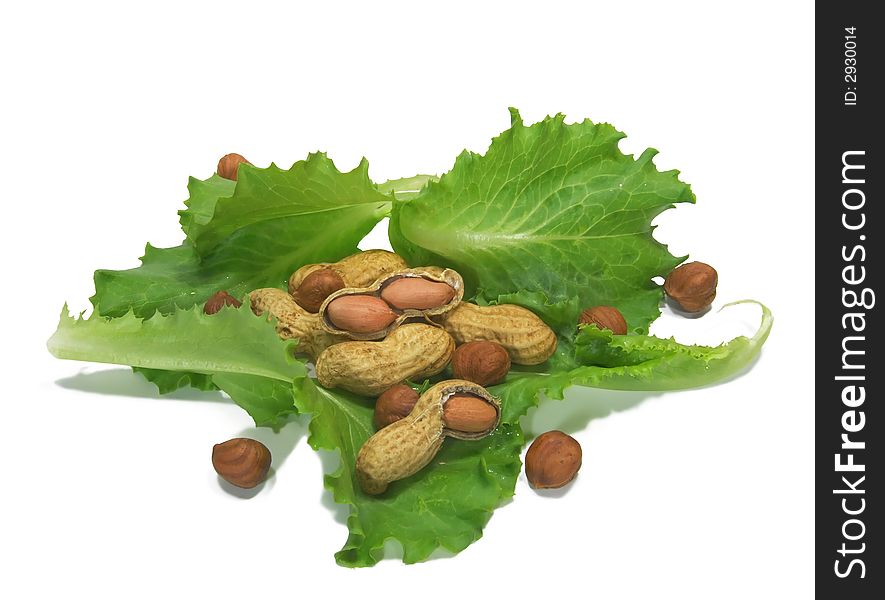 Leaves of a salad, peanuts and hazelnuts isolated. Leaves of a salad, peanuts and hazelnuts isolated