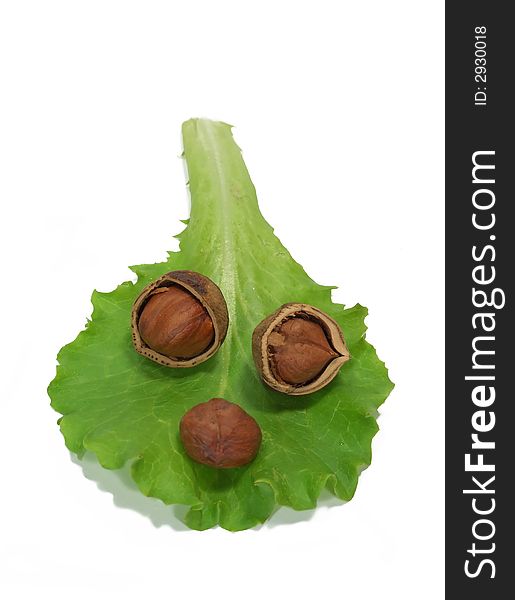 Leaf of salad with shadow and hazelnuts on a white background. Leaf of salad with shadow and hazelnuts on a white background